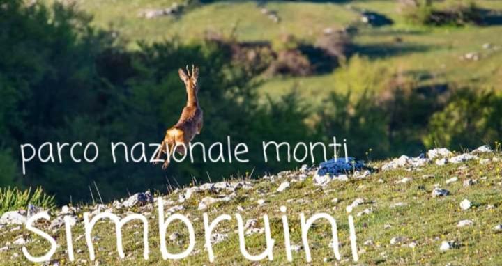 Casetta Nel Borgo Olevano Romano Buitenkant foto