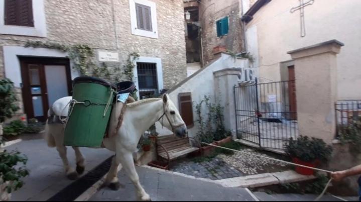 Casetta Nel Borgo Olevano Romano Buitenkant foto