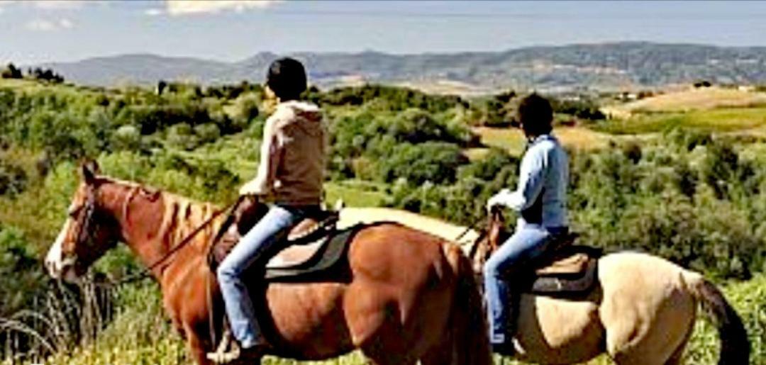 Casetta Nel Borgo Olevano Romano Buitenkant foto